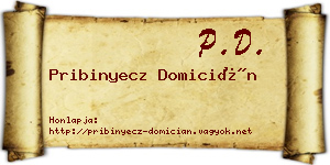 Pribinyecz Domicián névjegykártya